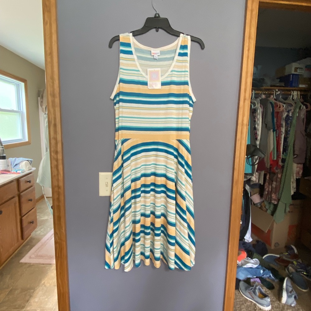 Lularoe Nicki dress
